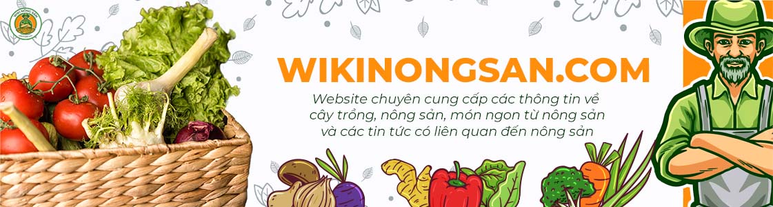 Banner wiki nông sản 1