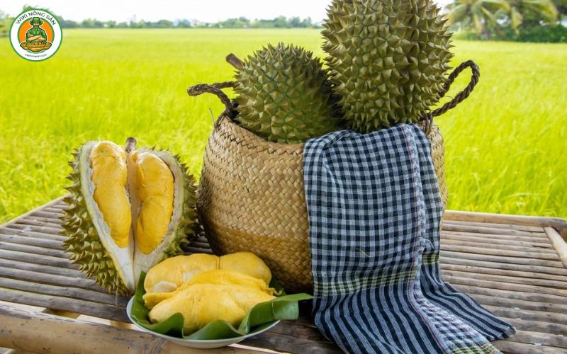 Tìm hiểu 8 giống sầu riêng ngon nhất từ Musang King, Monthong đến Ri6… ở bài viết sau sẽ giúp bạn khám phá hương vị độc đáo của loại quả này. 