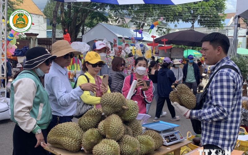 sau rieng khanh son 5