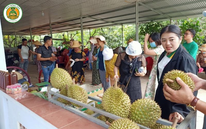 sầu riêng long khánh