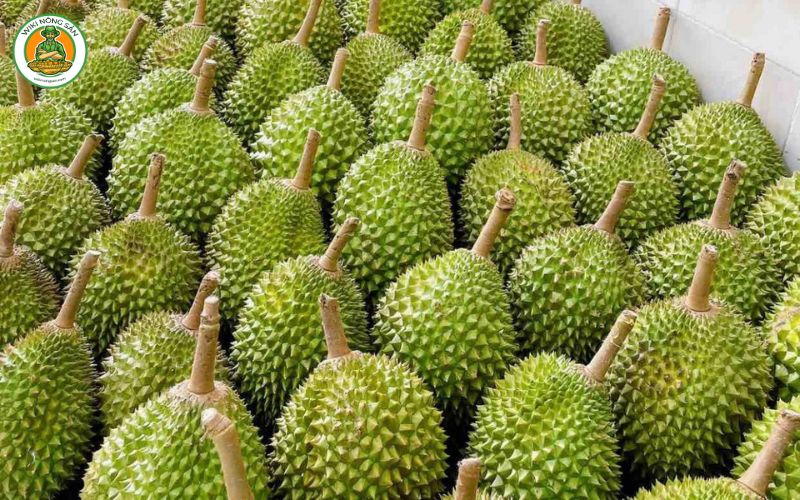 sầu riêng musang king