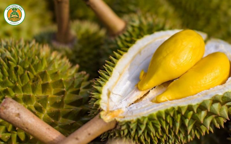 sầu riêng musang king