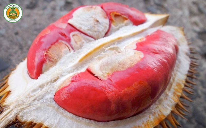 sầu riêng musang king ruột đỏ