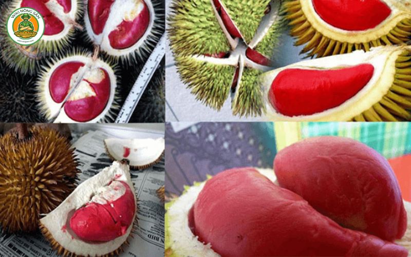 sầu riêng musang king ruột đỏ