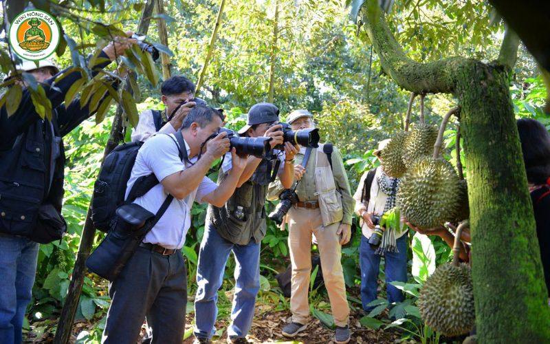 vườn sầu riêng khánh sơn