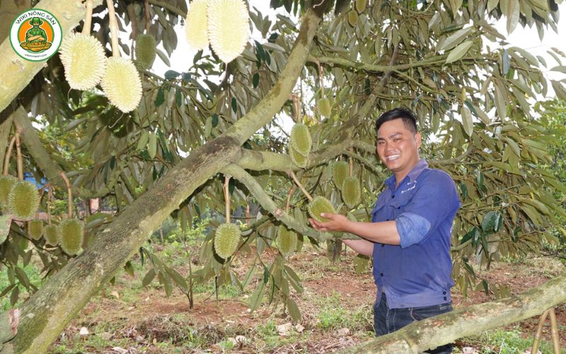 vườn sầu riêng long khánh