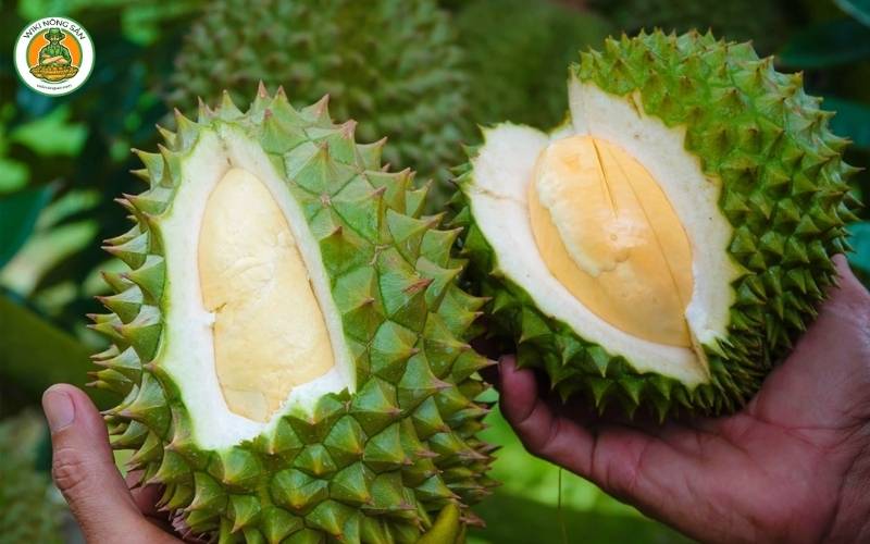 So sánh sầu riêng Black Thorn và Musang King