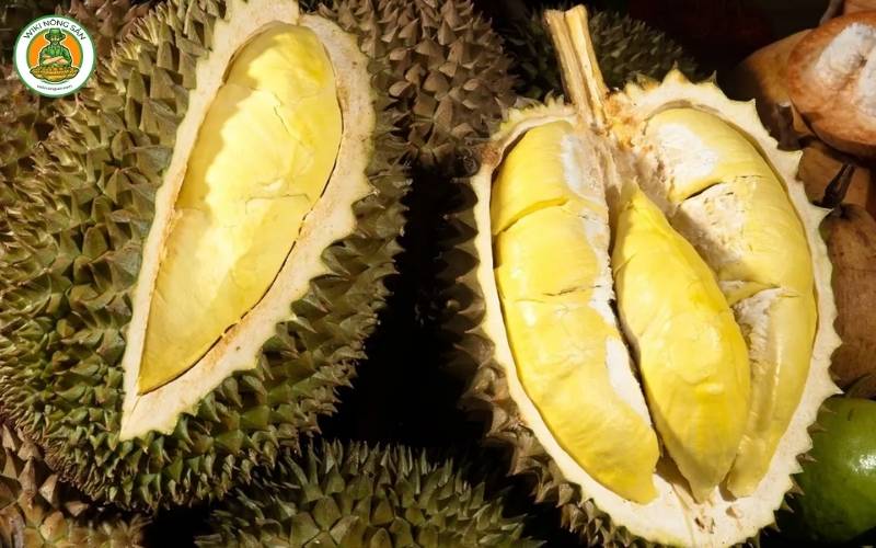 So sánh sầu riêng Black Thorn và Musang King