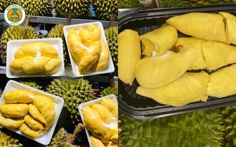 so sánh sầu riêng ri6 và musang king