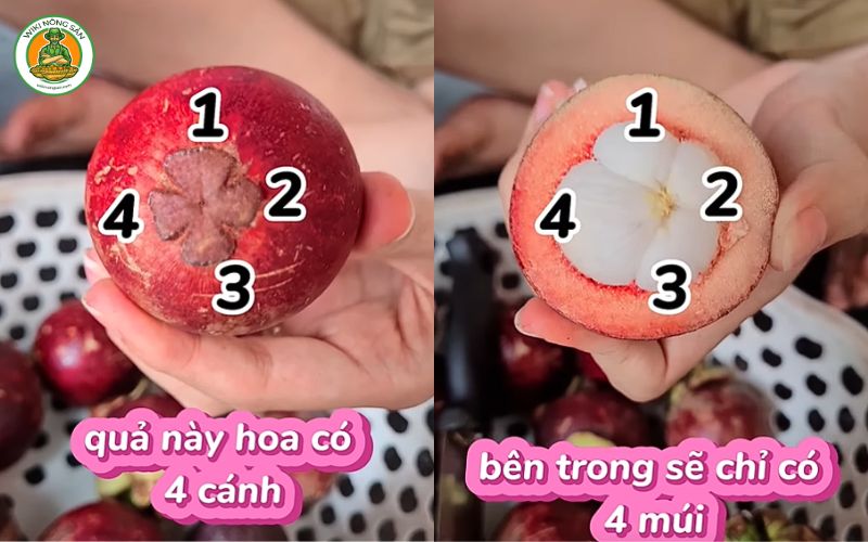 cách bổ măng cụt